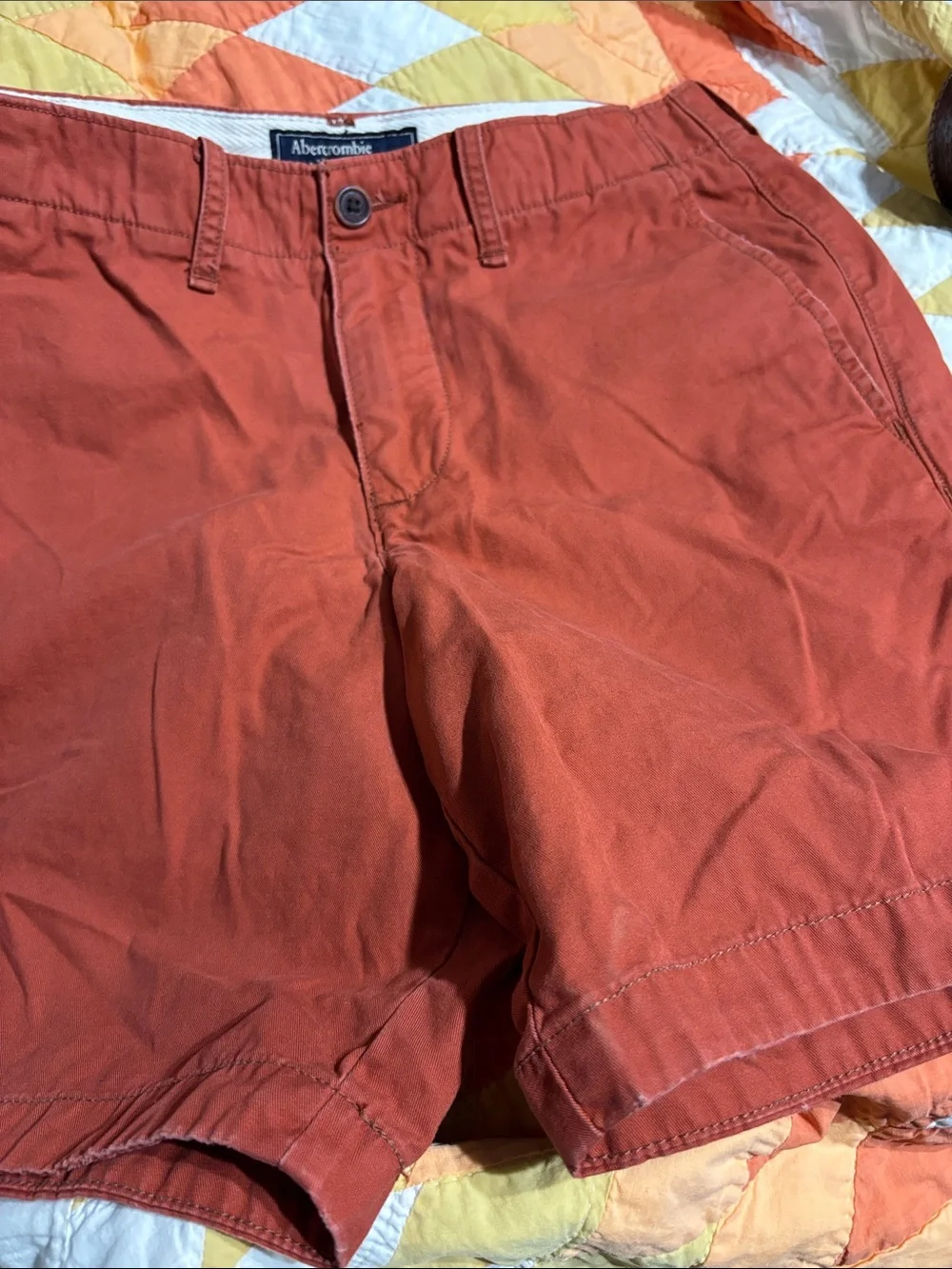 Abercrombie & Fitch Burnt Orange Pants
